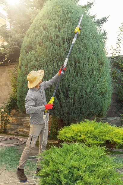 Best Arborist Consultation Services  in Riesel, TX